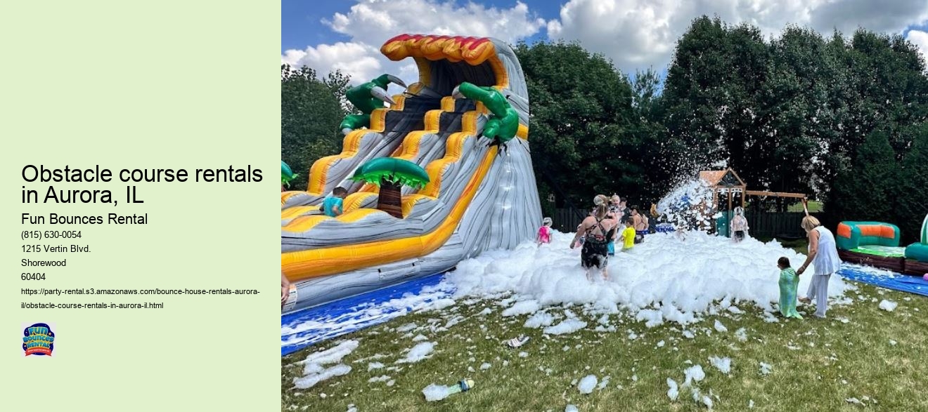 Bounce House Bliss: Your Source for Exciting Rentals in Aurora, IL - Fun Bounces Rental!
