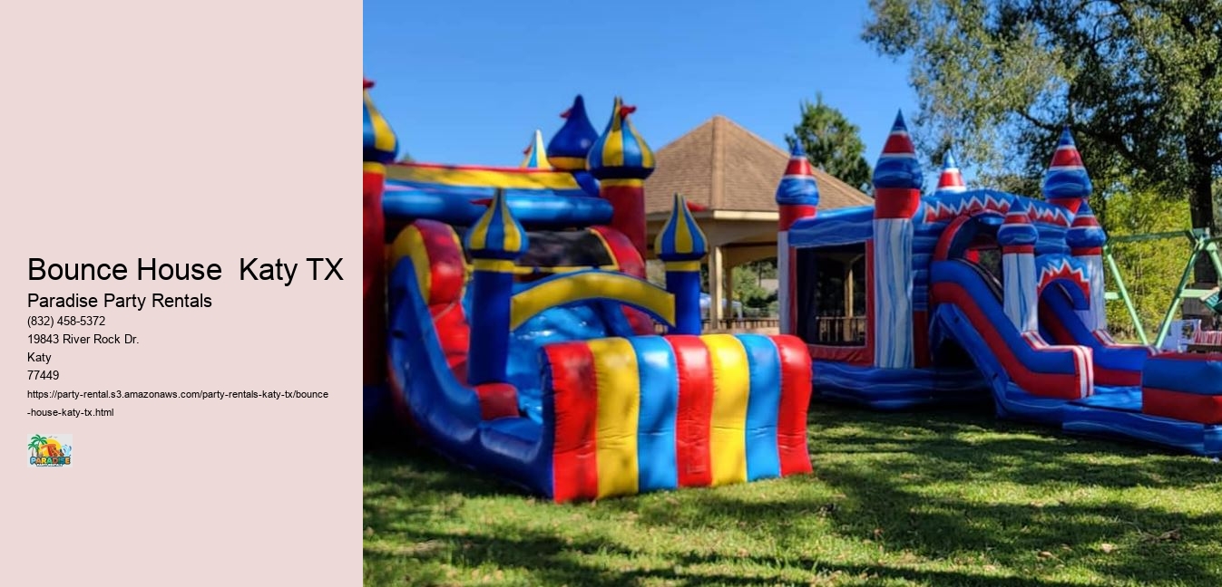 Katy TX Event Experts: Paradise Party Rentals Brings Your Vision to Life!