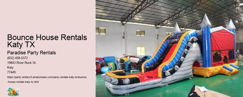 Why Settle for Less? Choose Katys Premier Party Rental Service